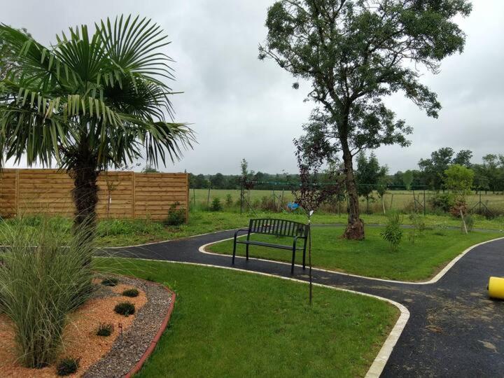 Studio Du Daudou Septfonds Εξωτερικό φωτογραφία